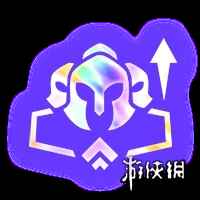 网21
