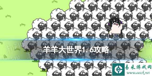 网1