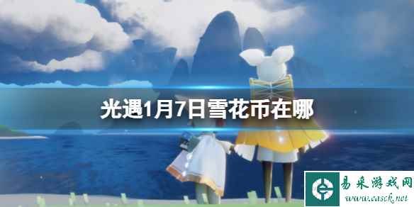 网1