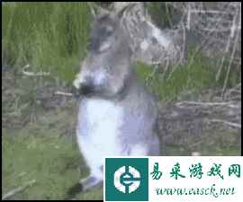 这比赛着装可太懂观众了！动图 这下喷得更厉害了