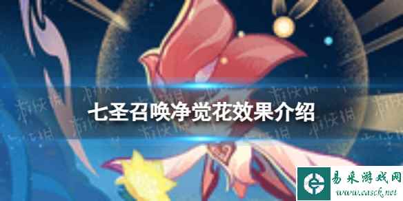 网1