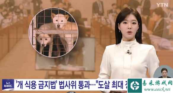 易采游戏网