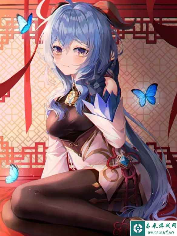 网5