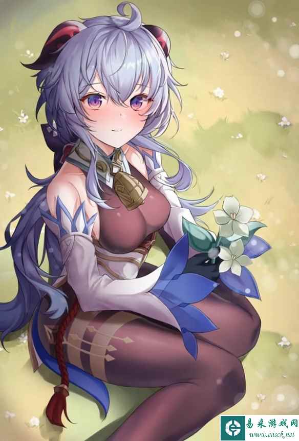 网21