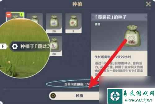 原神怎么或的种子 原神种子种植技巧