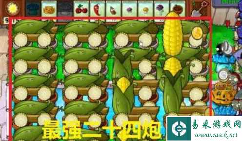网7