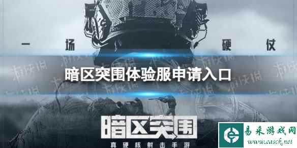 网1