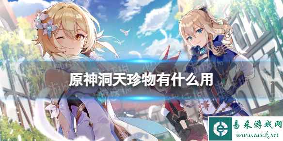 原神洞天珍物有什么用