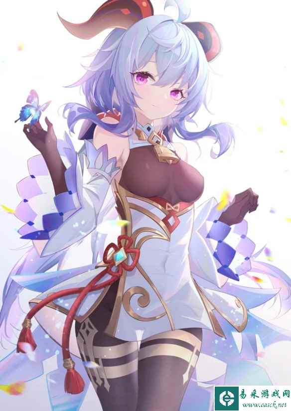 网13