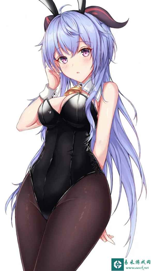 网17