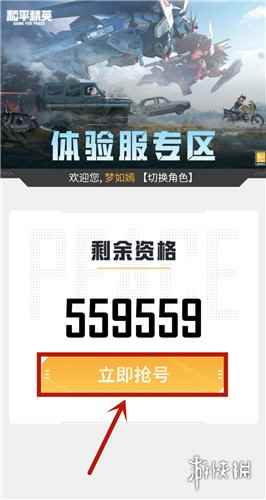 网3