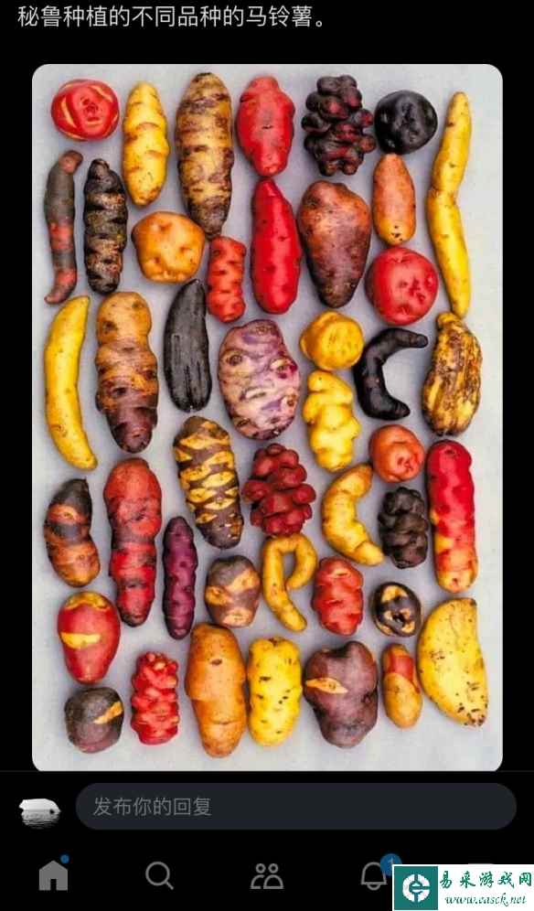 你手上有好多巨乳酸菌 囧图 长胖是为了保护我的肌肉