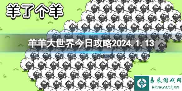 网1