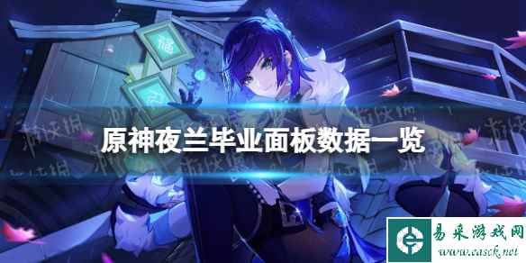 网1