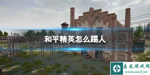 和平精英怎么踢人
