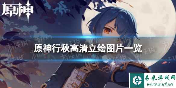 网1