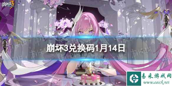 网1