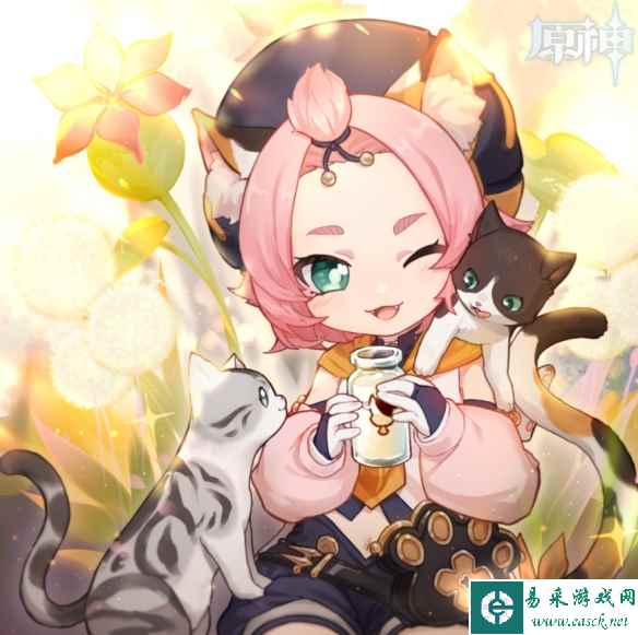 网16