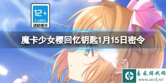 网1