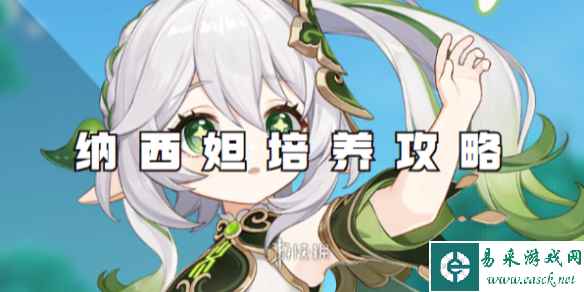 网1