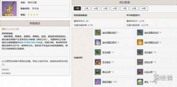 网5
