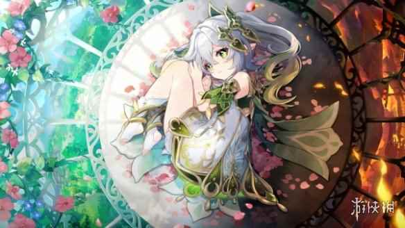 网4