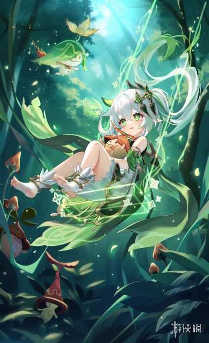 网11