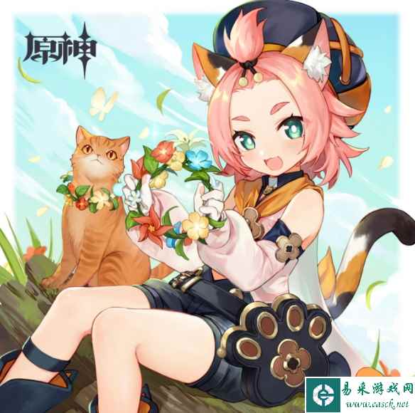 网15