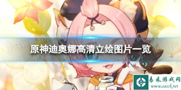 网1