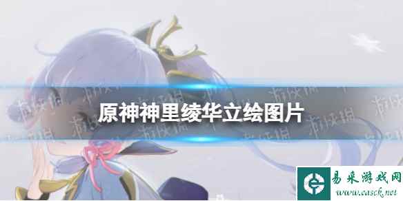 网1
