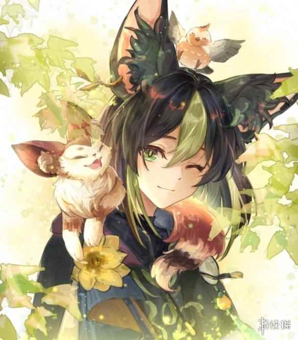 网7