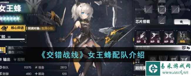 《交错战线》女王蜂配队介绍