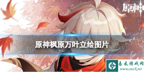 网1