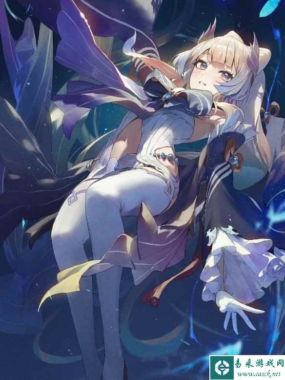 网11