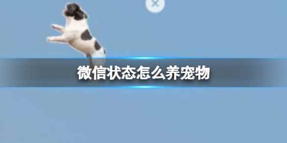 网1