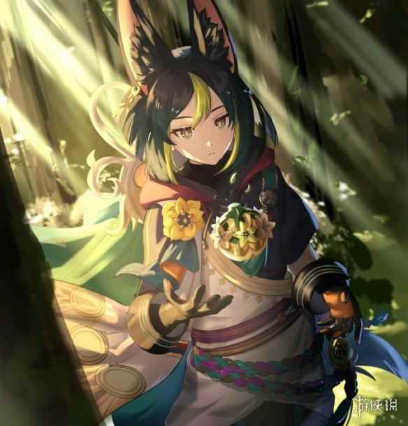 网6