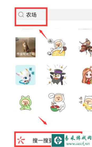 网5