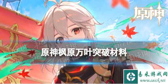 网1