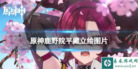 网1