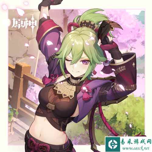 网6