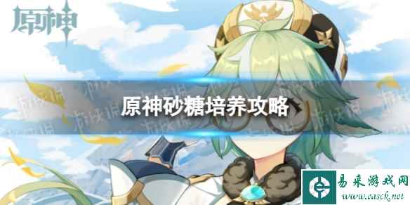 原神砂糖培养攻略