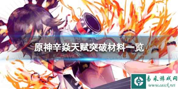网1