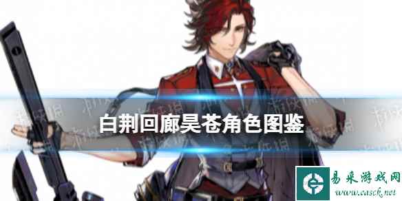 网1