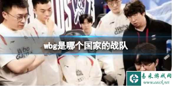 网1