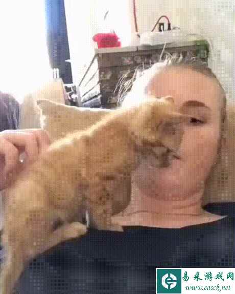 藏这么深是在开银趴吗 动图 各种意义上被姐姐俘获了