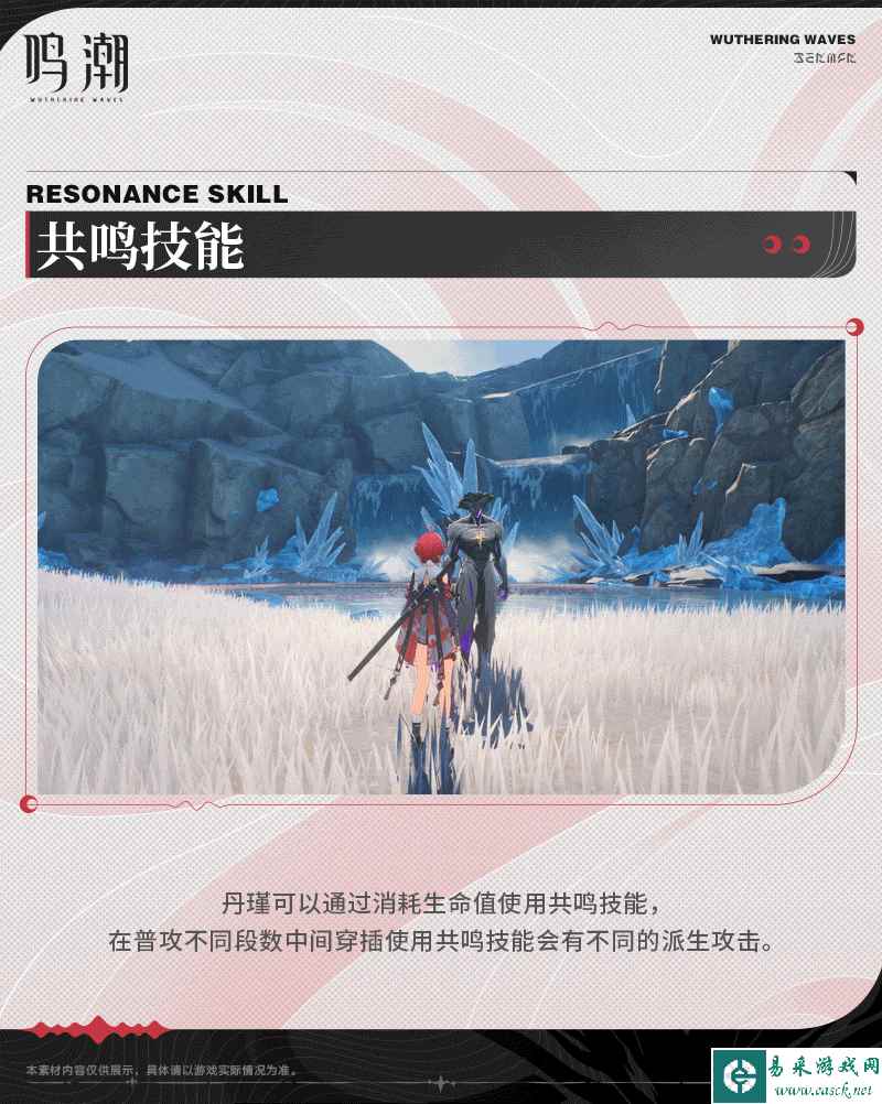 网
