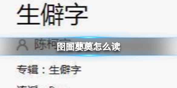 网1