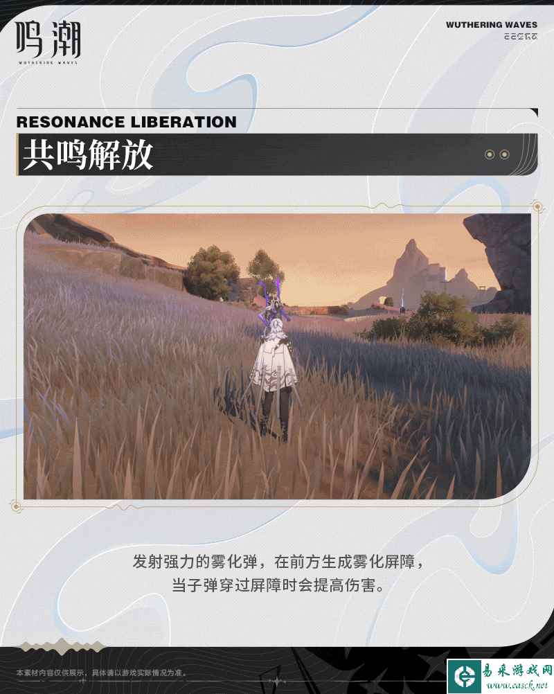网