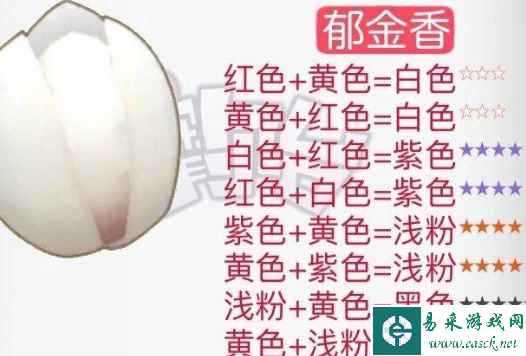 网8