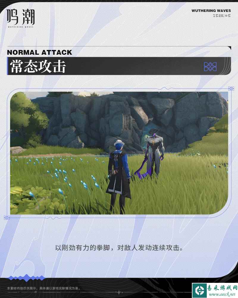 网
